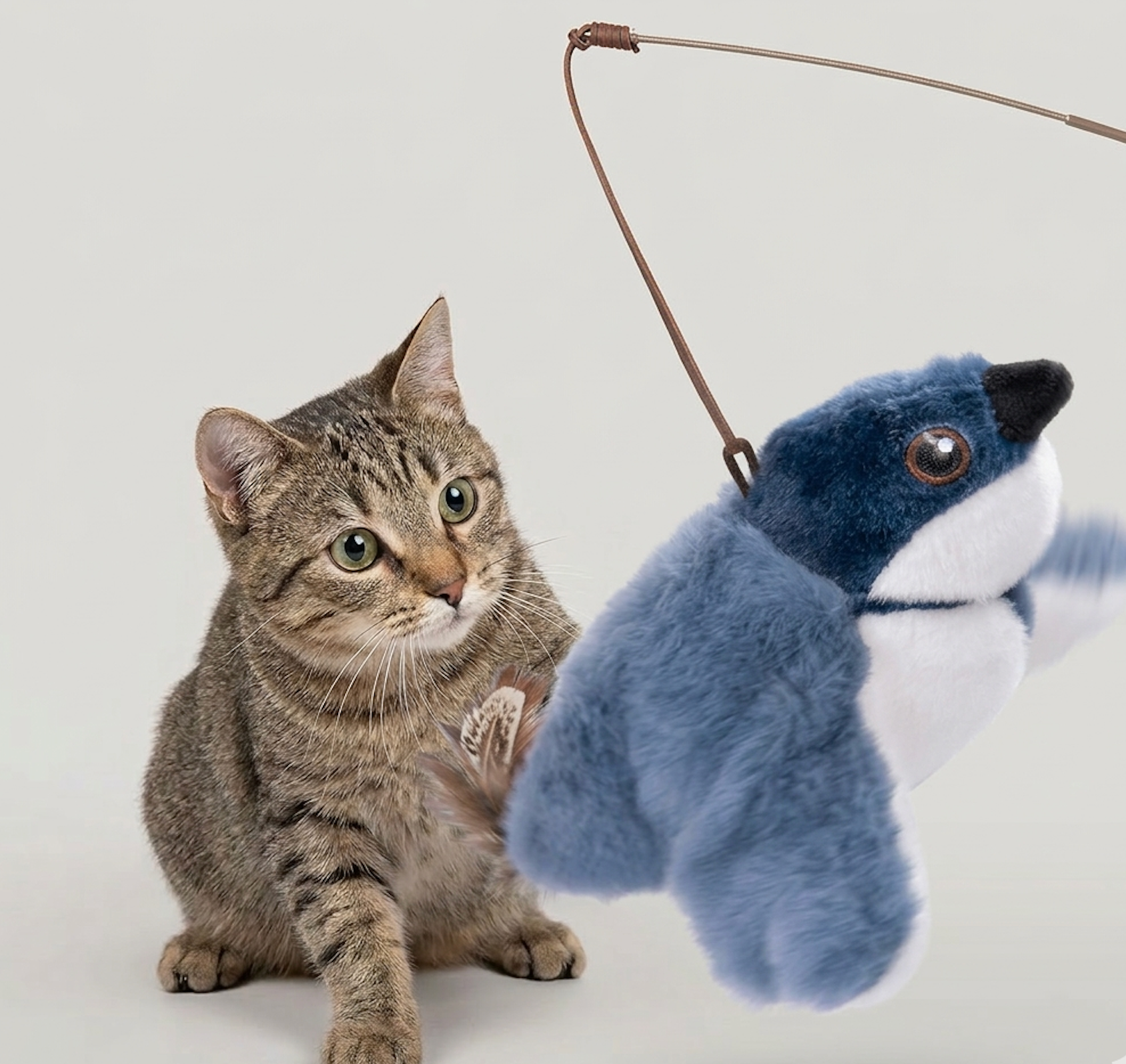 Flapping Bird Cat  Toy Karis Fashions